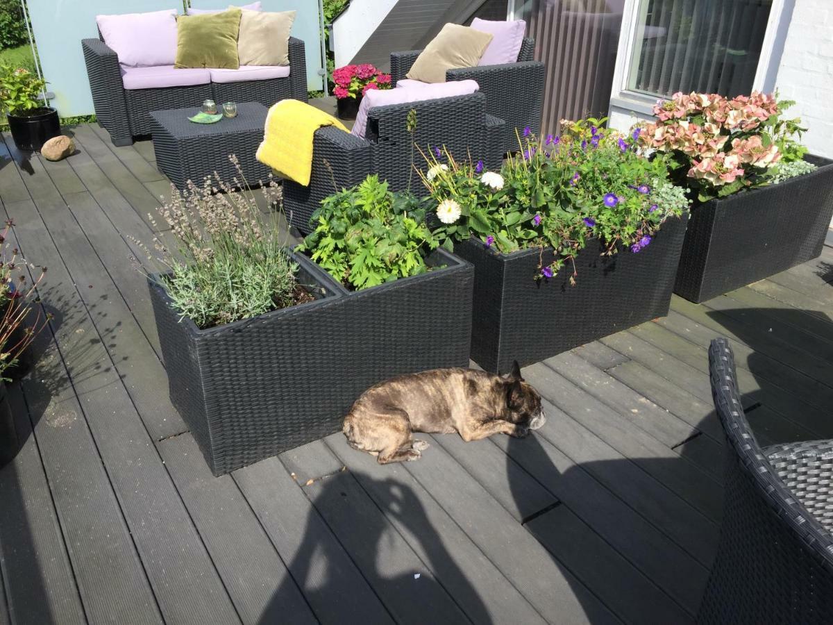 Brondums B & B Hjørring Dış mekan fotoğraf